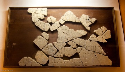 is_bangius_museo_47