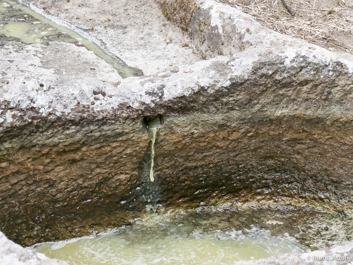 IL MOSTO NEL PALMENTO
Dall'uva al mosto: la dimostrazione nei palmenti rupestri mostra ai visitatori le diverse fasi di una tecnica di vinificazione che appartiene alla memoria contadina di Ardauli.