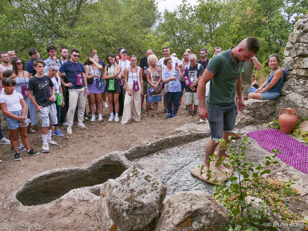 DETTAGLIO DELLA PIGIATURA NEI SACCHI
La pigiatura tradizionale dell'uva rievocata nei palmenti di Ardauli: un gesto antico che restituisce vita a un patrimonio di tecniche e conoscenze tramandate nel tempo.