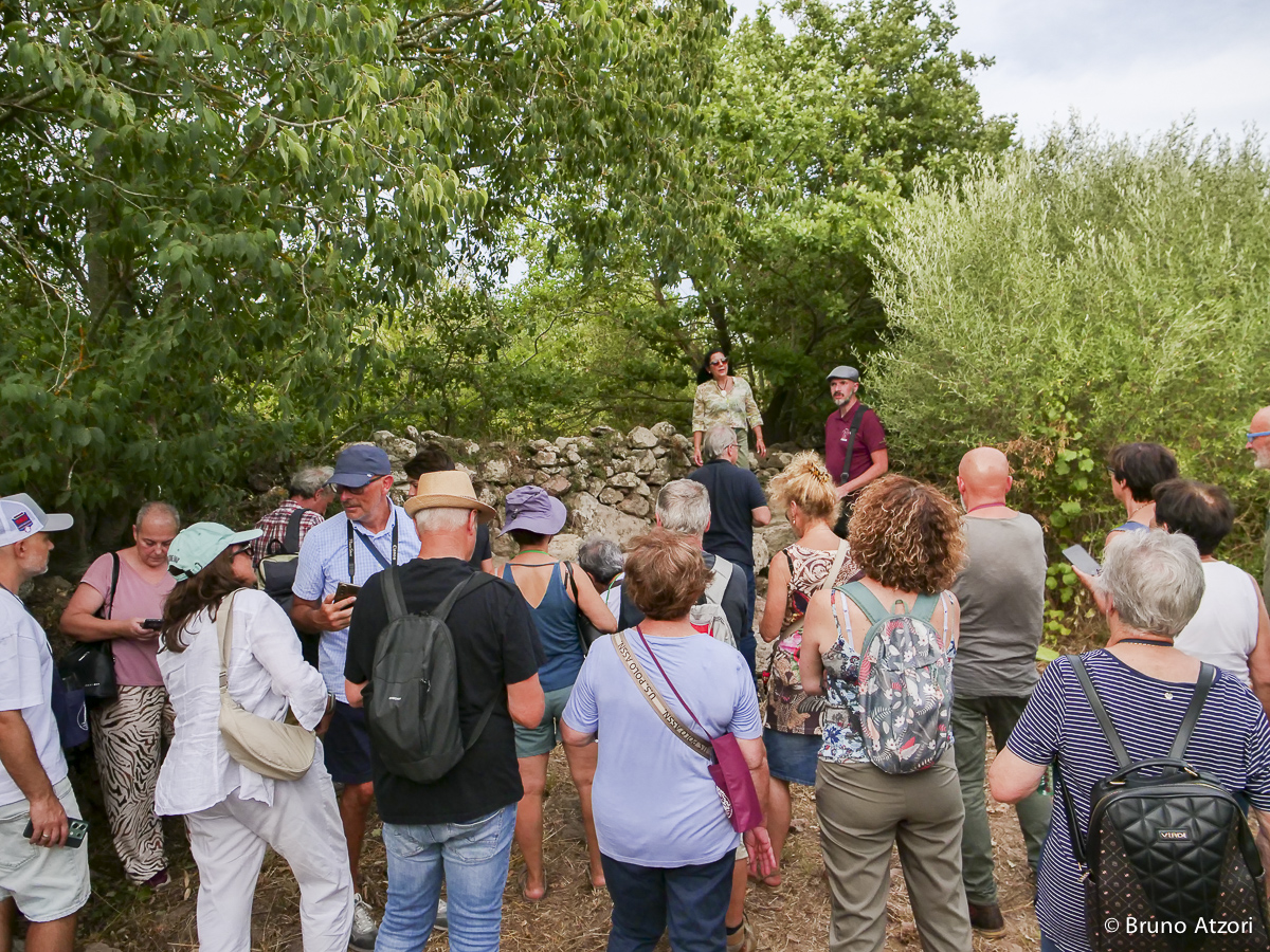 CINZIA LOI DURANTE LA VISITA
L'archeologa Cinzia Loi accompagna i visitatori alla scoperta dei “Lacos de Catzigare”, raccontando il rapporto millenario tra la coltivazione della vite, il paesaggio e le comunità di Ardauli.