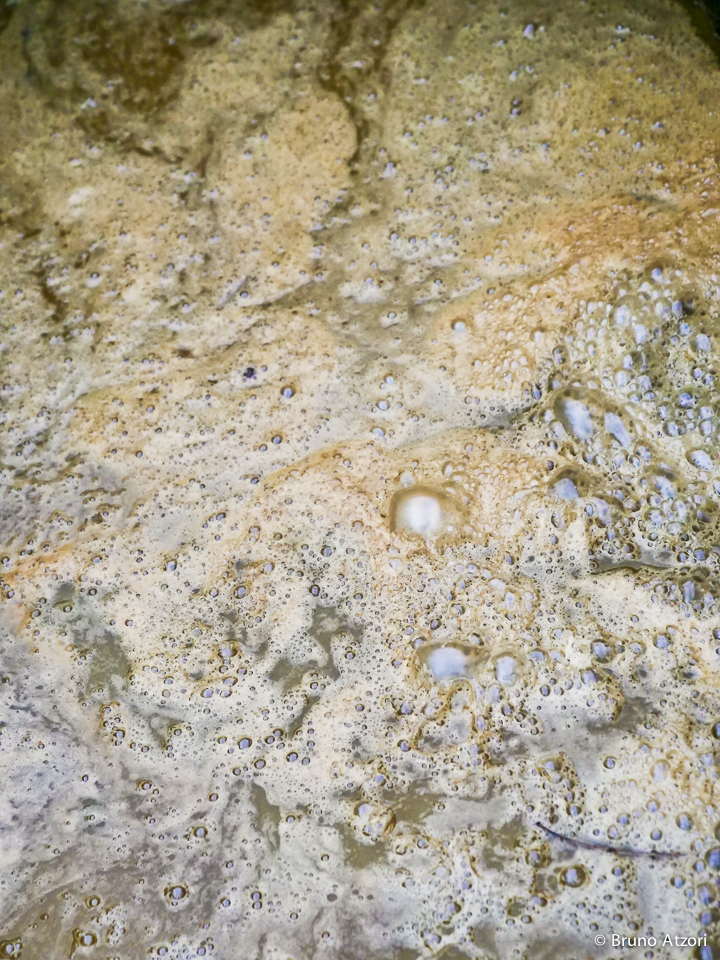 IL MOSTO NEL PALMENTO
Dall'uva al mosto: la dimostrazione nei palmenti rupestri mostra ai visitatori le diverse fasi di una tecnica di vinificazione che appartiene alla memoria contadina di Ardauli.
