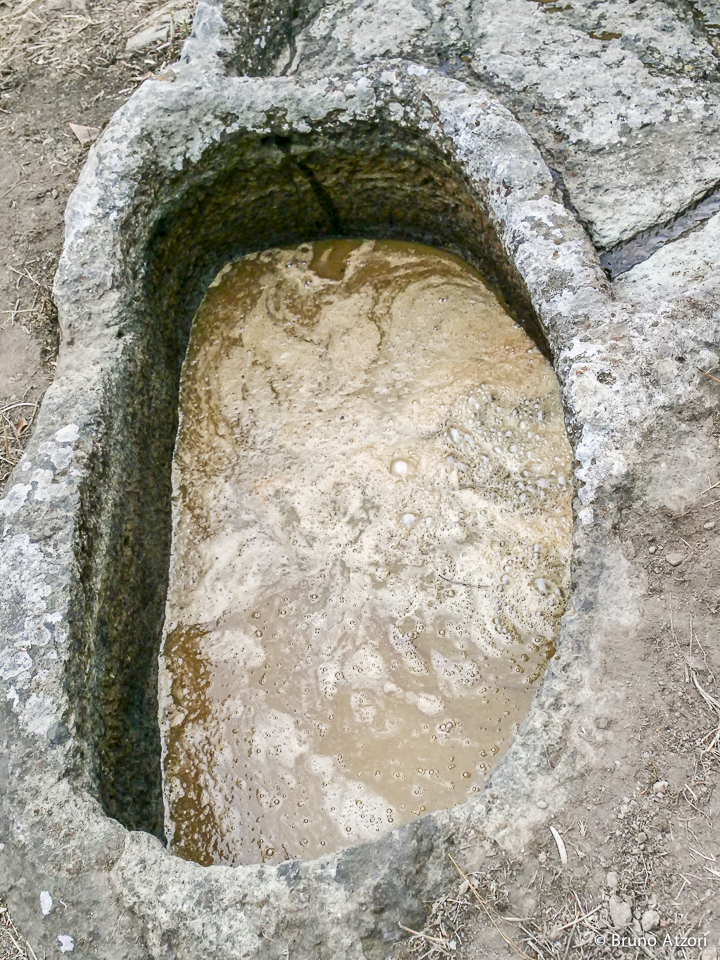 IL MOSTO NEL PALMENTO
Dall'uva al mosto: la dimostrazione nei palmenti rupestri mostra ai visitatori le diverse fasi di una tecnica di vinificazione che appartiene alla memoria contadina di Ardauli.