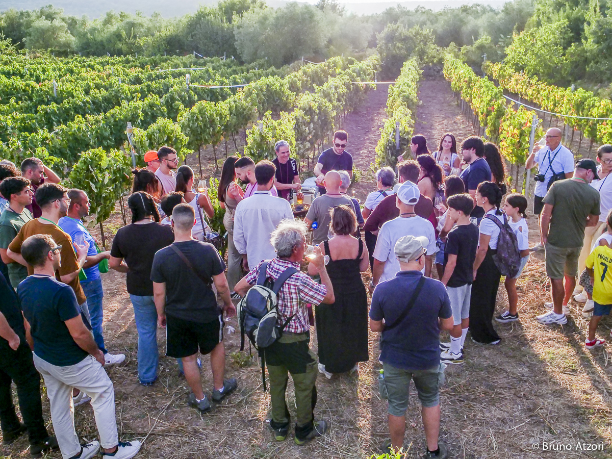 ARRIVO IN VIGNA
Dall'archeologia al vino contemporaneo: lasciati i palmenti, il percorso prosegue tra i filari per ritrovare nel calice il legame con il territorio.