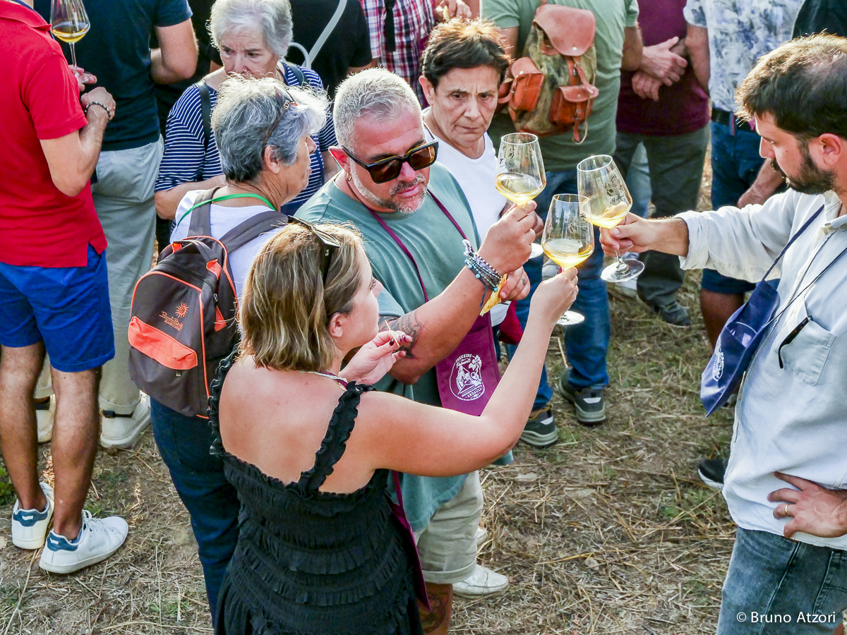 PERSONE CHE DEGUSTANO
Il vino come esperienza di territorio: degustare tra i filari significa incontrare insieme paesaggio, produzioni locali e cultura dell'ospitalità.