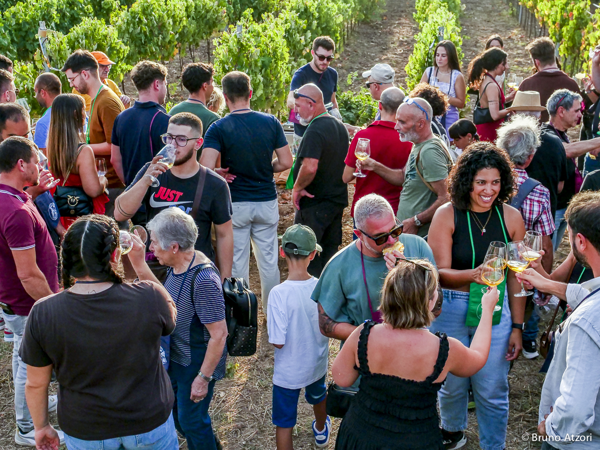 PERSONE CHE DEGUSTANO
Il vino come esperienza di territorio: degustare tra i filari significa incontrare insieme paesaggio, produzioni locali e cultura dell'ospitalità.