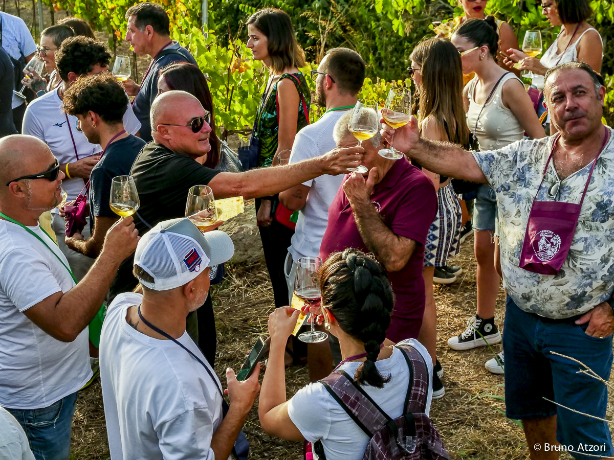 PERSONE CHE DEGUSTANO
Il vino come esperienza di territorio: degustare tra i filari significa incontrare insieme paesaggio, produzioni locali e cultura dell'ospitalità.