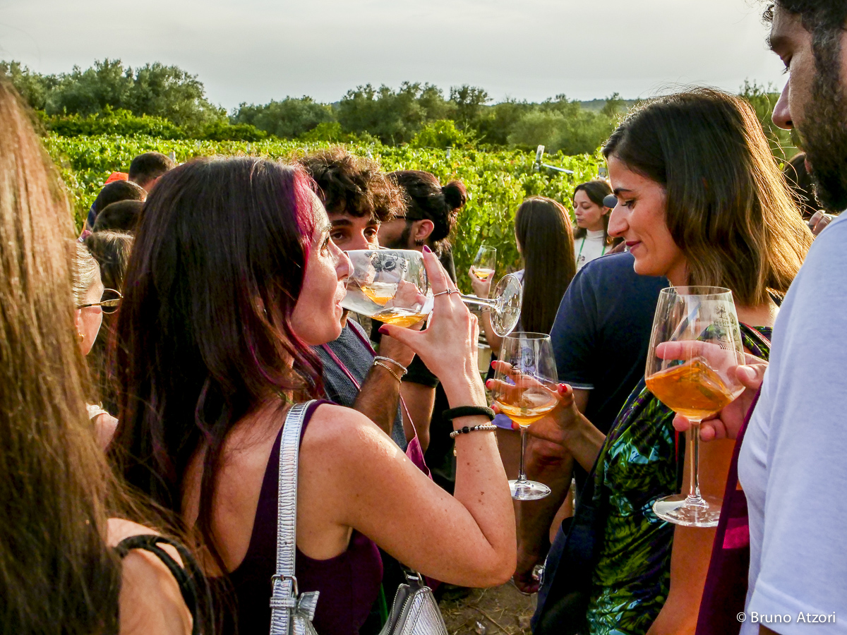 PERSONE CHE DEGUSTANO
Il vino come esperienza di territorio: degustare tra i filari significa incontrare insieme paesaggio, produzioni locali e cultura dell'ospitalità.
