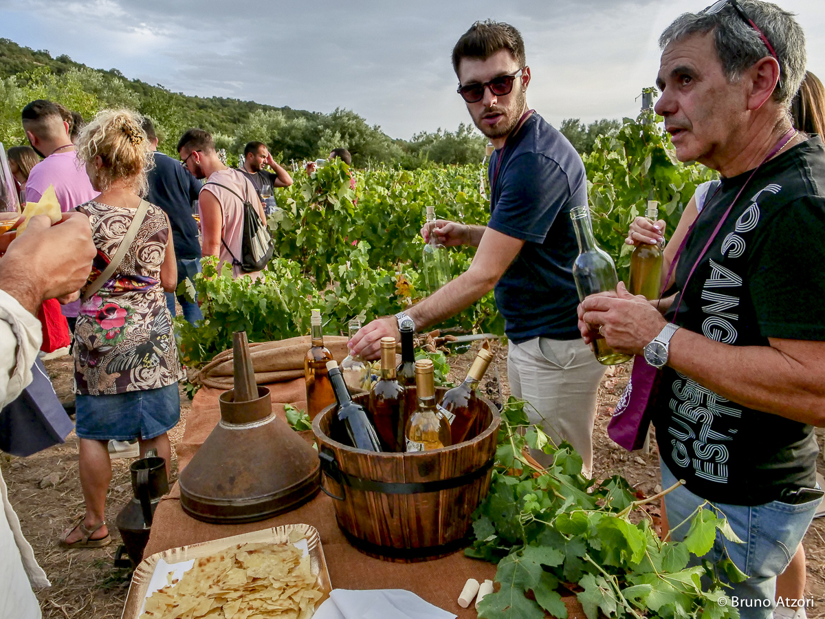CALICI / PARTICOLARE DELLA DEGUSTAZIONE
Nuragus, Vermentino e un blend di uve rosse accompagnano la degustazione in vigna: dal racconto delle antiche tecniche di vinificazione all'esperienza del vino nel luogo in cui nasce.