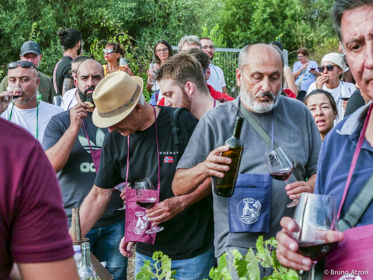 PERSONE CHE DEGUSTANO
Il vino come esperienza di territorio: degustare tra i filari significa incontrare insieme paesaggio, produzioni locali e cultura dell'ospitalità.