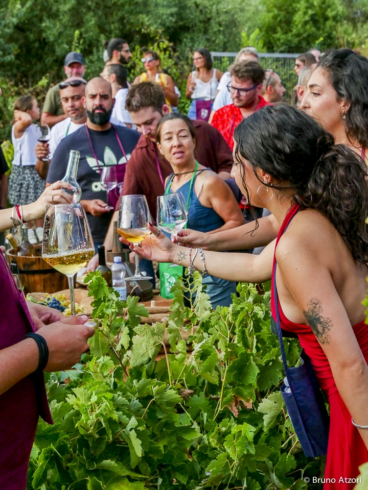 PERSONE CHE DEGUSTANO
Il vino come esperienza di territorio: degustare tra i filari significa incontrare insieme paesaggio, produzioni locali e cultura dell'ospitalità.