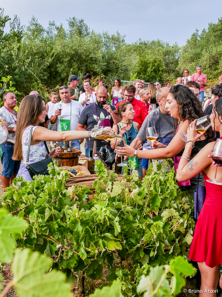PERSONE CHE DEGUSTANO
Il vino come esperienza di territorio: degustare tra i filari significa incontrare insieme paesaggio, produzioni locali e cultura dell'ospitalità.